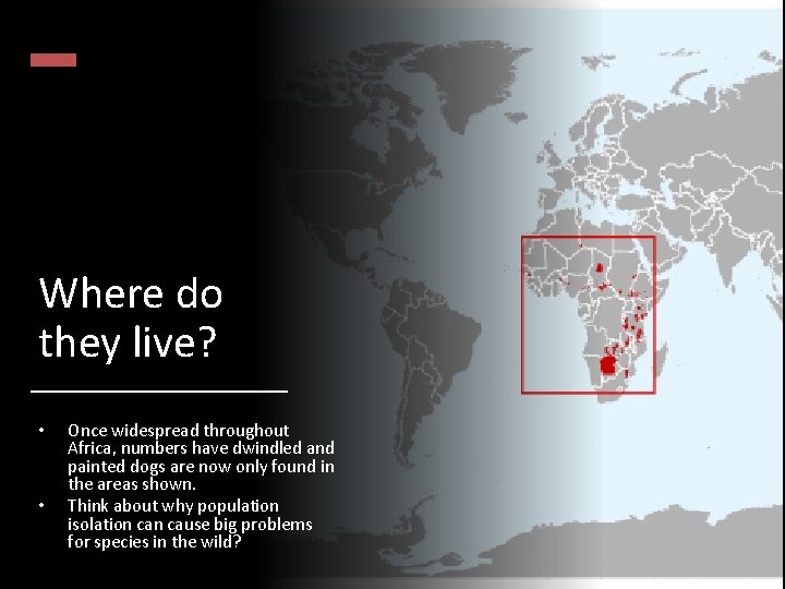 Where do they live? • • Once widespread throughout Africa, numbers have dwindled and