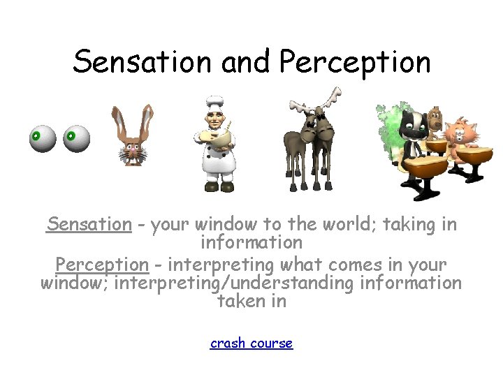 Sensation and Perception Sensation - your window to the world; taking in information Perception