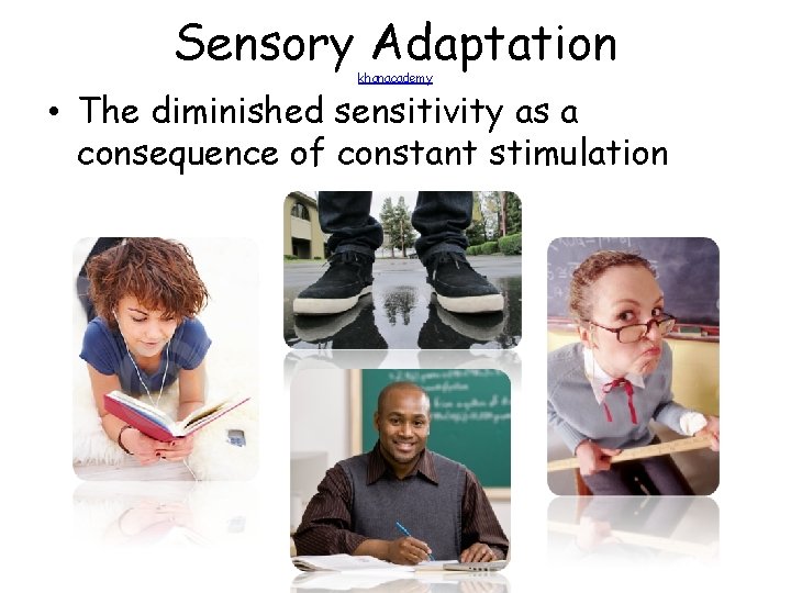 Sensory Adaptation khanacademy • The diminished sensitivity as a consequence of constant stimulation 