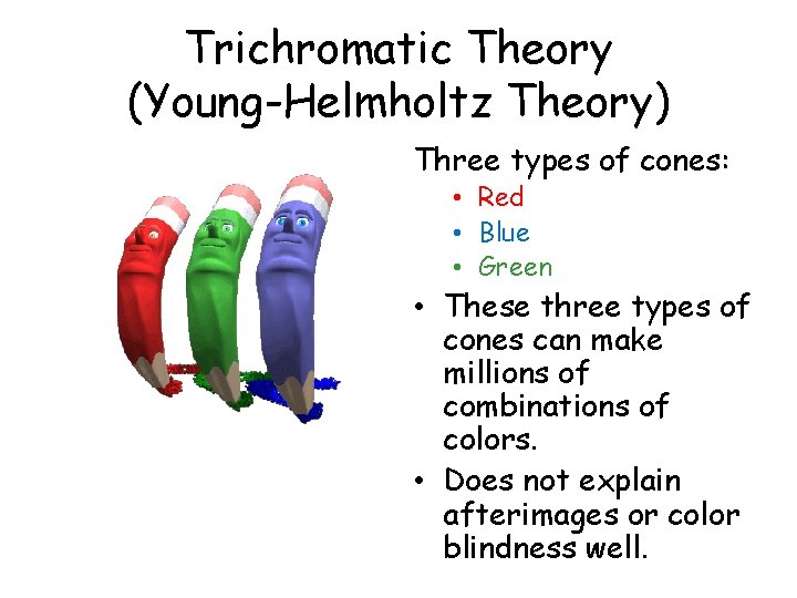 Trichromatic Theory (Young-Helmholtz Theory) Three types of cones: • Red • Blue • Green