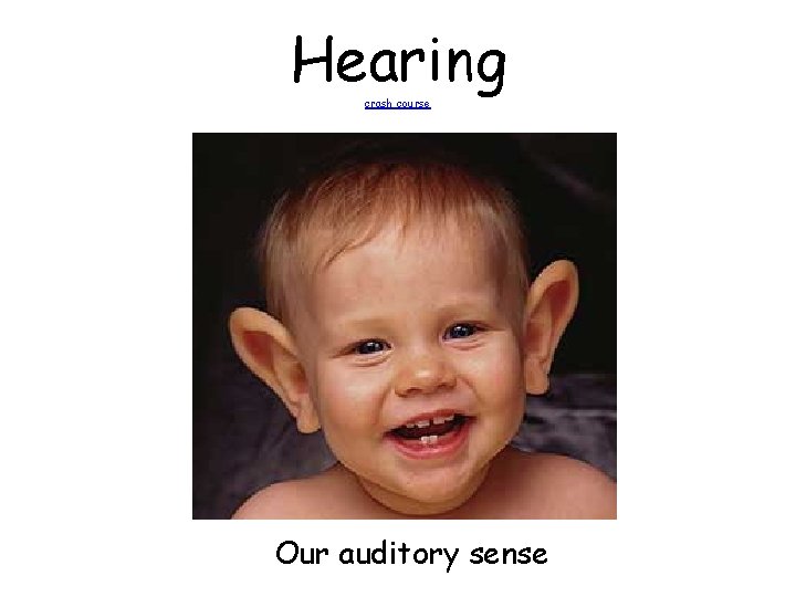 Hearing crash course Our auditory sense 
