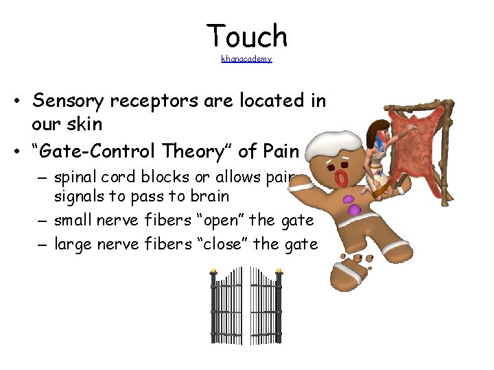 Touch khanacademy • Sensory receptors are located in our skin • “Gate-Control Theory” of