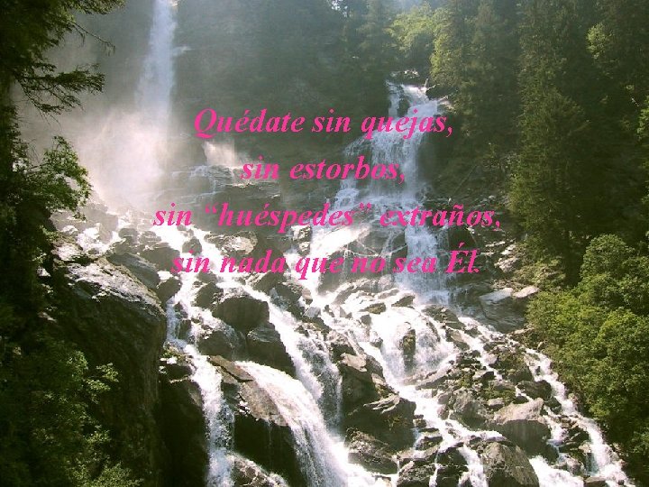 Quédate sin quejas, sin estorbos, sin “huéspedes” extraños, sin nada que no sea Él.