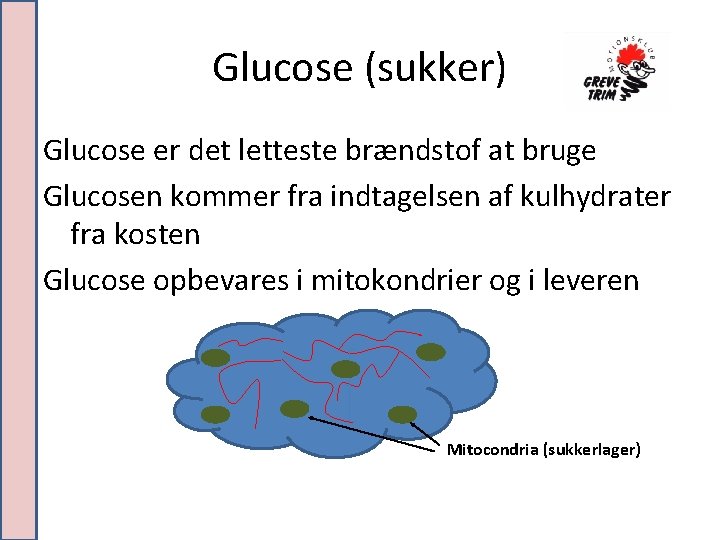 Glucose (sukker) Glucose er det letteste brændstof at bruge Glucosen kommer fra indtagelsen af