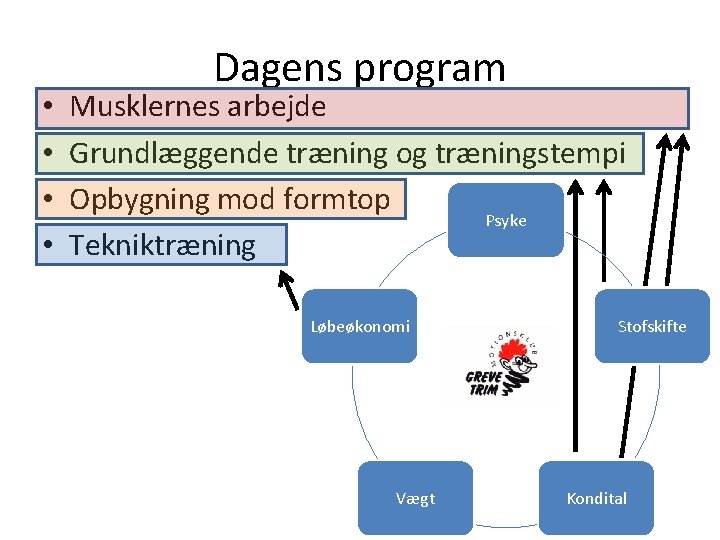  • • Dagens program Musklernes arbejde Grundlæggende træning og træningstempi Opbygning mod formtop