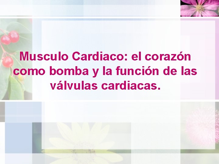 Musculo Cardiaco: el corazón como bomba y la función de las válvulas cardiacas. 