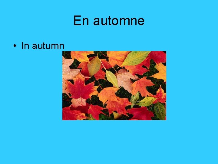 En automne • In autumn 