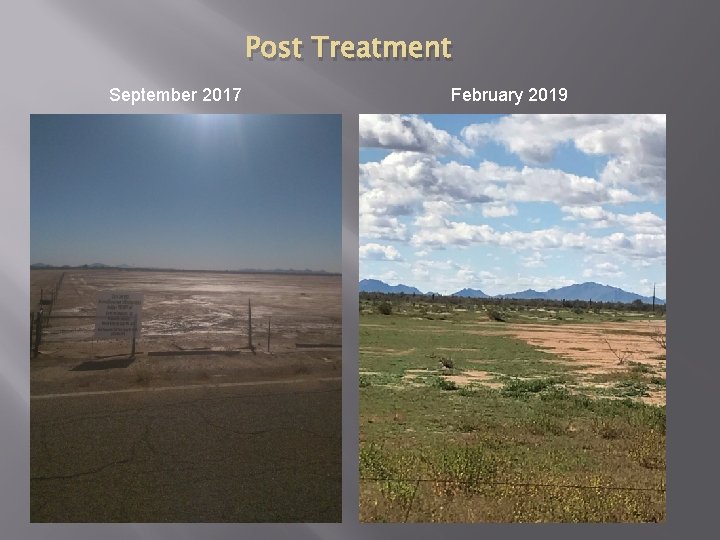 Post Treatment September 2017 February 2019 