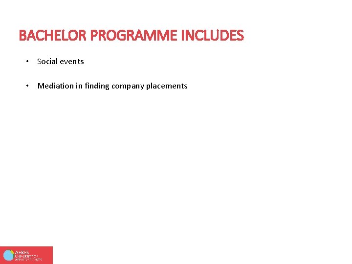BACHELOR PROGRAMME INCLUDES • Social events • Mediation in finding company placements 