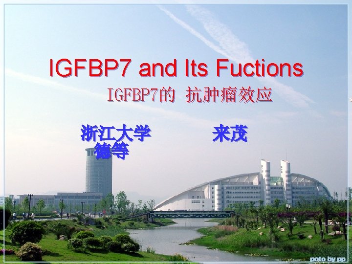 IGFBP 7 and Its Fuctions IGFBP 7的 抗肿瘤效应 浙江大学 德等 来茂 