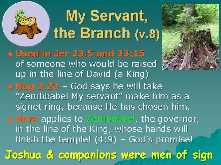 My Servant, the Branch (v. 8) Used in Jer 23: 5 and 33: 15