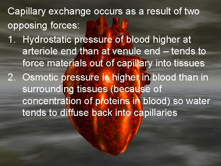 Capillary exchange occurs as a result of two opposing forces: 1. Hydrostatic pressure of