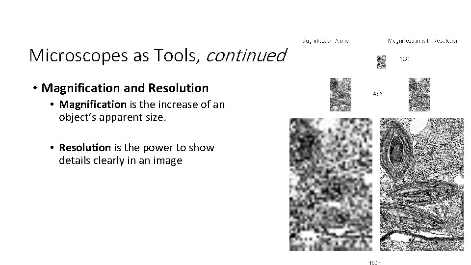 Microscopes as Tools, continued • Magnification and Resolution • Magnification is the increase of