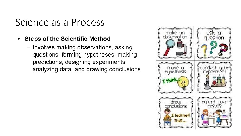 Science as a Process • Steps of the Scientific Method – Involves making observations,