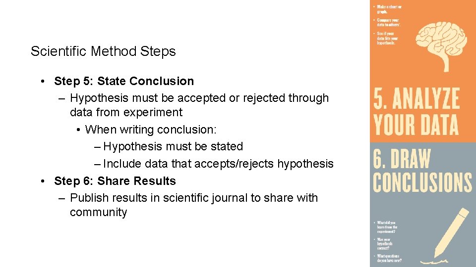 Scientific Method Steps • Step 5: State Conclusion – Hypothesis must be accepted or