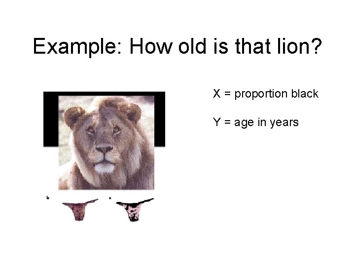 Example: How old is that lion? X = proportion black Y = age in Example: How old is that lion? X = proportion black Y = age in