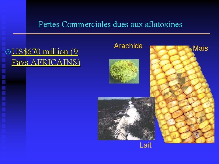 Pertes Commerciales dues aux aflatoxines · US$670 million (9 Arachide Pays AFRICAINS) Lait Mais