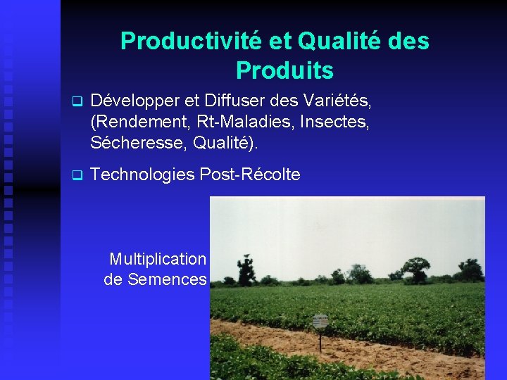 Productivité et Qualité des Produits q Développer et Diffuser des Variétés, (Rendement, Rt-Maladies, Insectes,