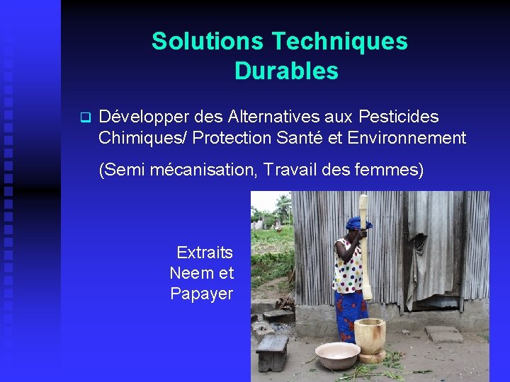 Solutions Techniques Durables q Développer des Alternatives aux Pesticides Chimiques/ Protection Santé et Environnement