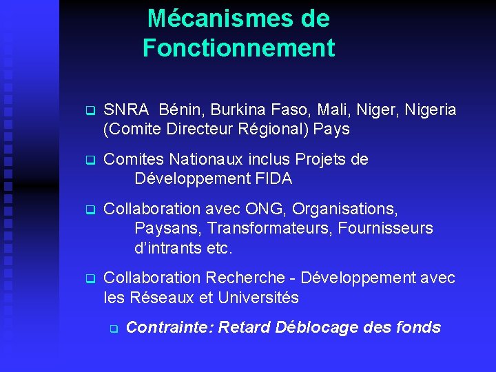 Mécanismes de Fonctionnement q SNRA Bénin, Burkina Faso, Mali, Nigeria (Comite Directeur Régional) Pays