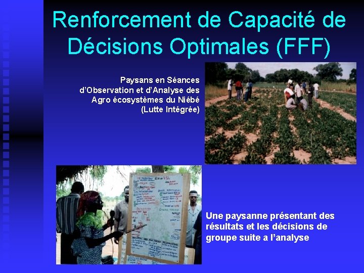 Renforcement de Capacité de Décisions Optimales (FFF) Paysans en Séances d’Observation et d’Analyse des