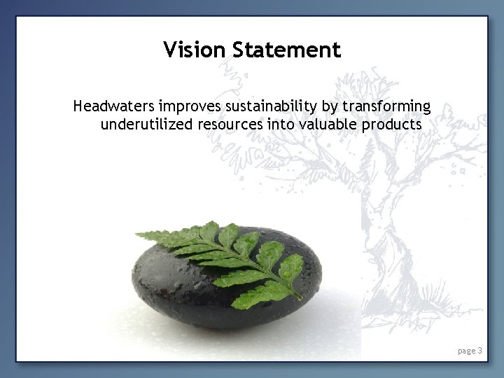 Vision Statement Headwaters improves sustainability by transforming underutilized resources into valuable products page 3