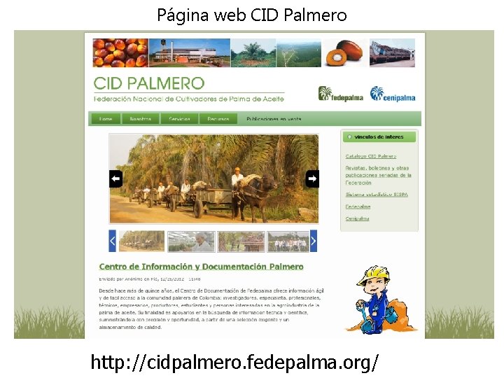 Página web CID Palmero http: //cidpalmero. fedepalma. org/ 