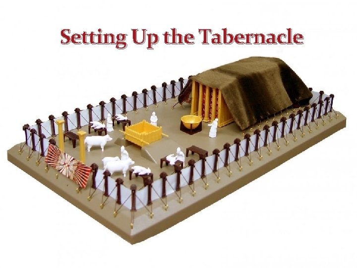 Setting Up the Tabernacle 