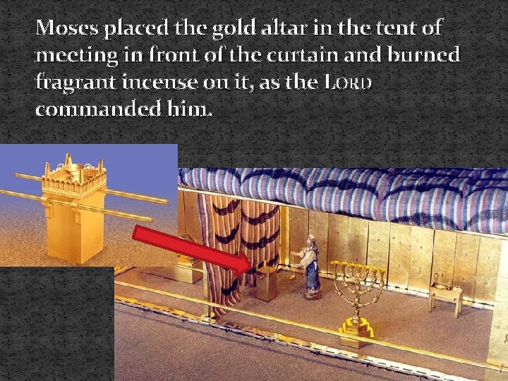 Moses placed the gold altar in the tent of meeting in front of the