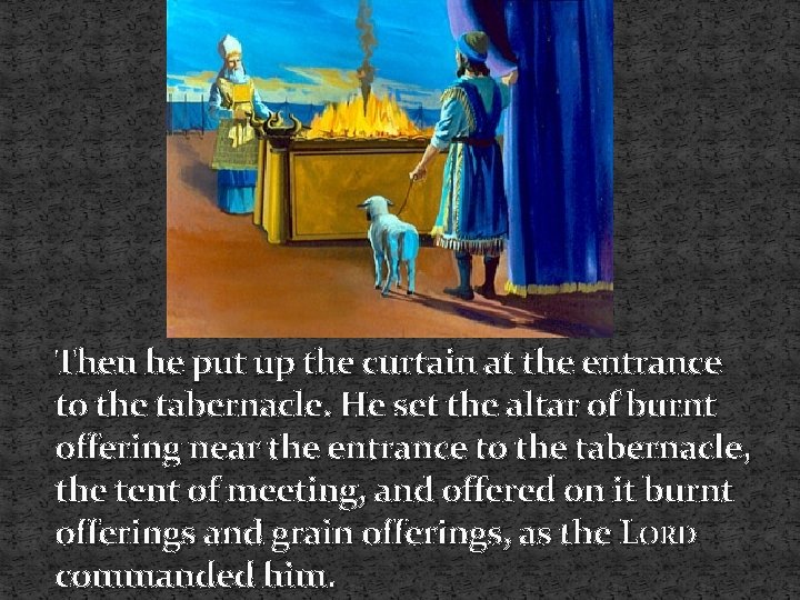 Then he put up the curtain at the entrance to the tabernacle. He set