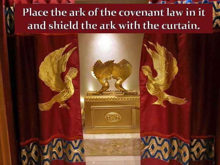 Place the ark of the covenant law in it and shield the ark with