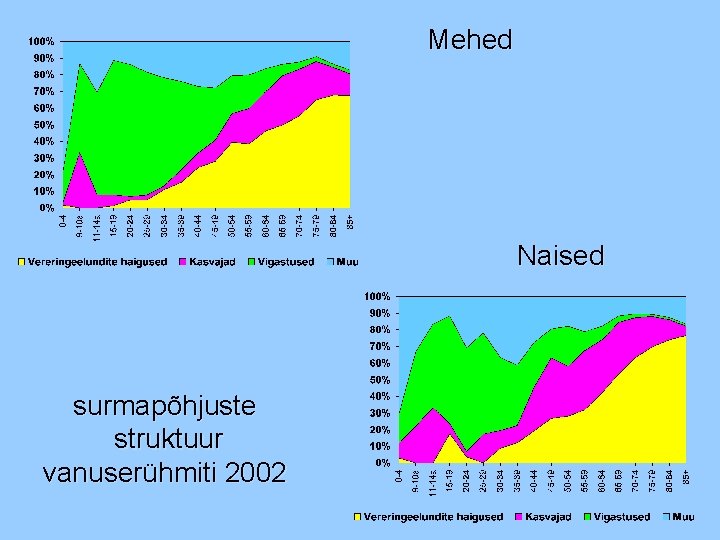 Mehed Naised surmapõhjuste struktuur vanuserühmiti 2002 