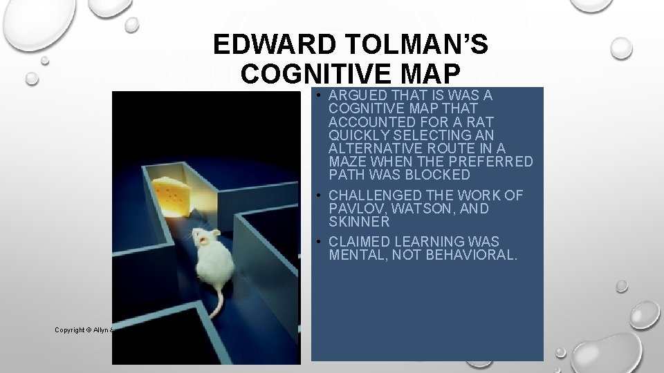 EDWARD TOLMAN’S COGNITIVE MAP • ARGUED THAT IS WAS A COGNITIVE MAP THAT ACCOUNTED