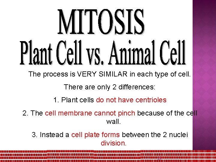 The process is VERY SIMILAR in each type of cell. There are only 2