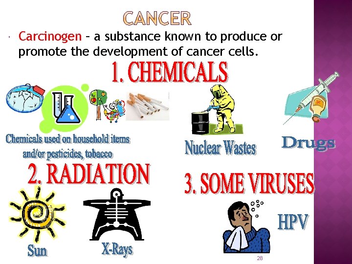  Carcinogen – a substance known to produce or promote the development of cancer