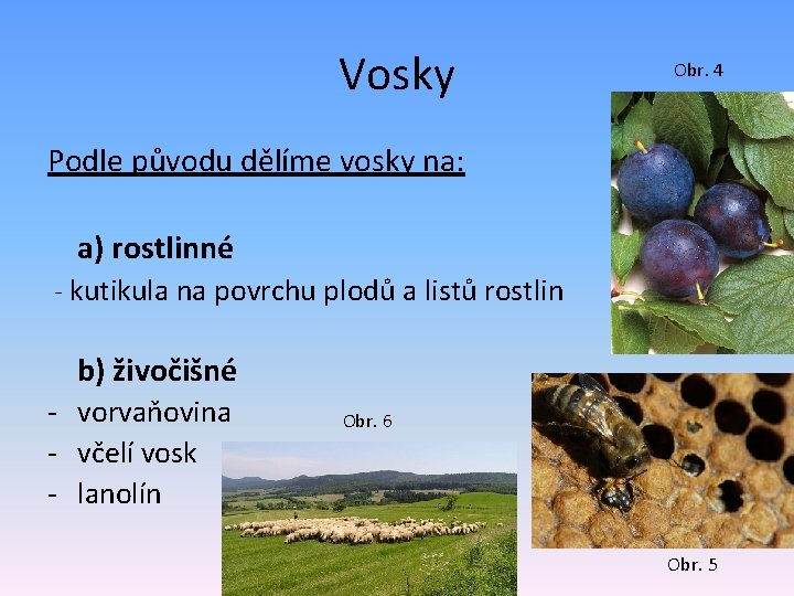 Vosky Obr. 4 Podle původu dělíme vosky na: a) rostlinné - kutikula na povrchu