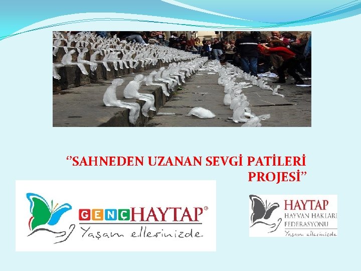 ‘’SAHNEDEN UZANAN SEVGİ PATİLERİ PROJESİ’’ 