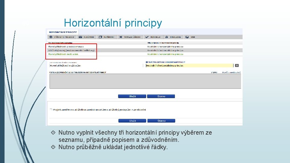 60 Horizontální principy Nutno vyplnit všechny tři horizontální principy výběrem ze seznamu, případně popisem