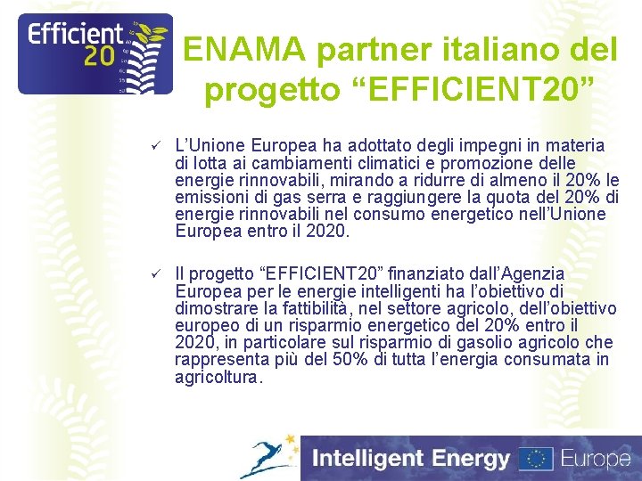 ENAMA partner italiano del progetto “EFFICIENT 20” ü L’Unione Europea ha adottato degli impegni