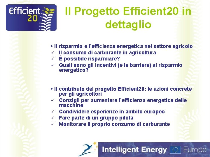 Il Progetto Efficient 20 in dettaglio • Il risparmio e l’efficienza energetica nel settore