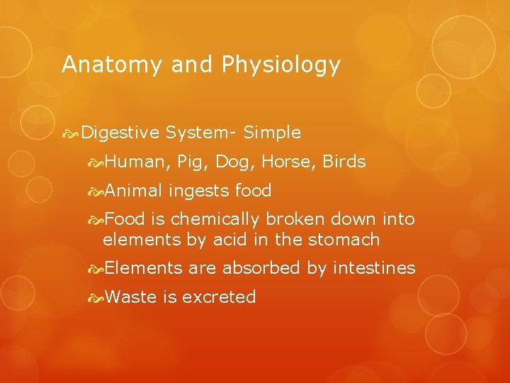 Anatomy and Physiology Digestive System- Simple Human, Pig, Dog, Horse, Birds Animal ingests food