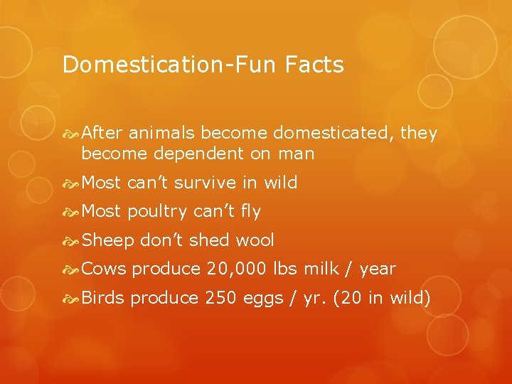 Domestication-Fun Facts After animals become domesticated, they become dependent on man Most can’t survive