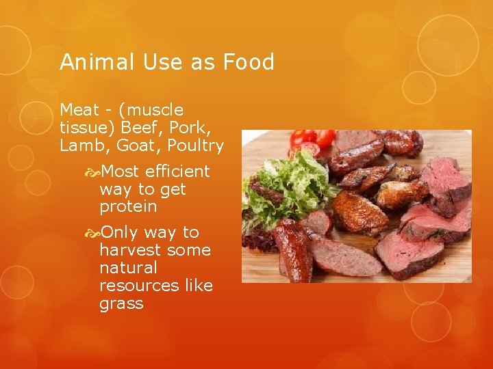 Animal Use as Food Meat - (muscle tissue) Beef, Pork, Lamb, Goat, Poultry Most