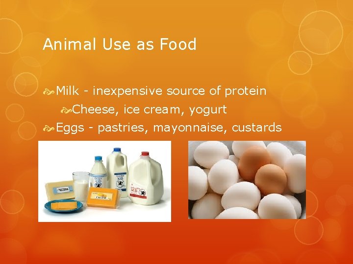 Animal Use as Food Milk - inexpensive source of protein Cheese, ice cream, yogurt
