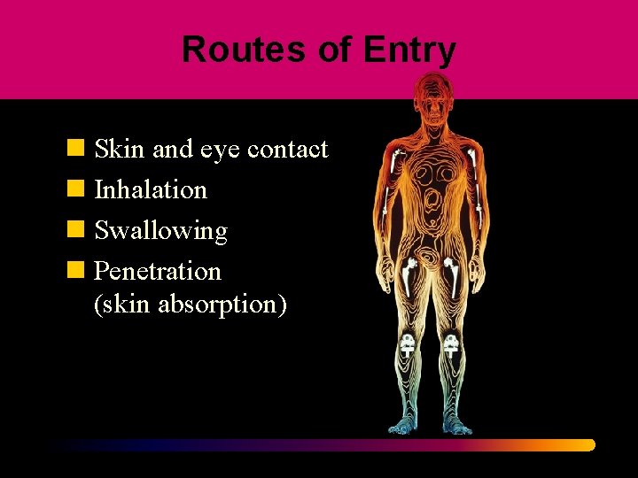 Routes of Entry n Skin and eye contact n Inhalation n Swallowing n Penetration