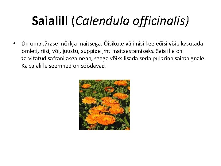 Saialill (Calendula officinalis) • On omapärase mõrkja maitsega. Õisikute välimisi keeleõisi võib kasutada omleti,