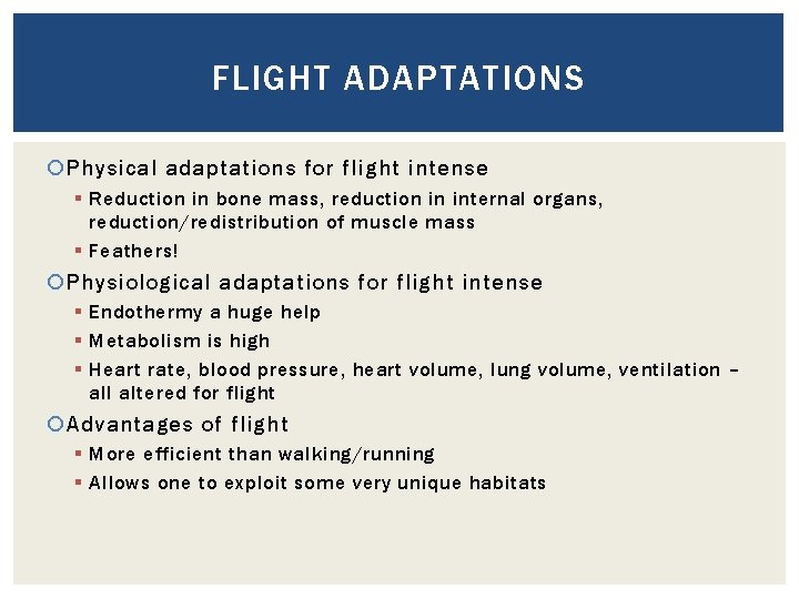FLIGHT ADAPTATIONS Physical adaptations for flight intense § Reduction in bone mass, reduction in