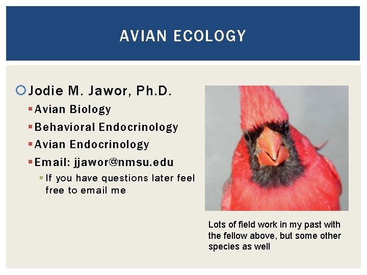 AVIAN ECOLOGY Jodie M. Jawor, Ph. D. § Avian Biology § Behavioral Endocrinology §