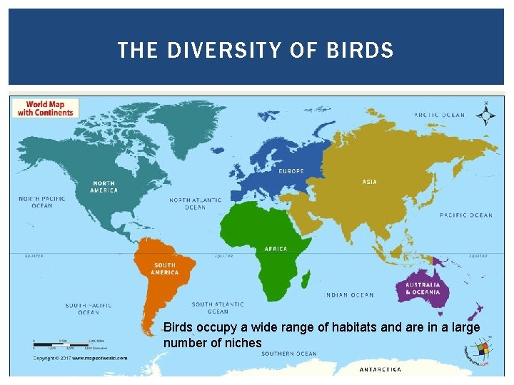 THE DIVERSITY OF BIRDS Birds occupy a wide range of habitats and are in