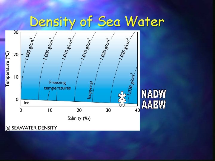 Density of Sea Water 